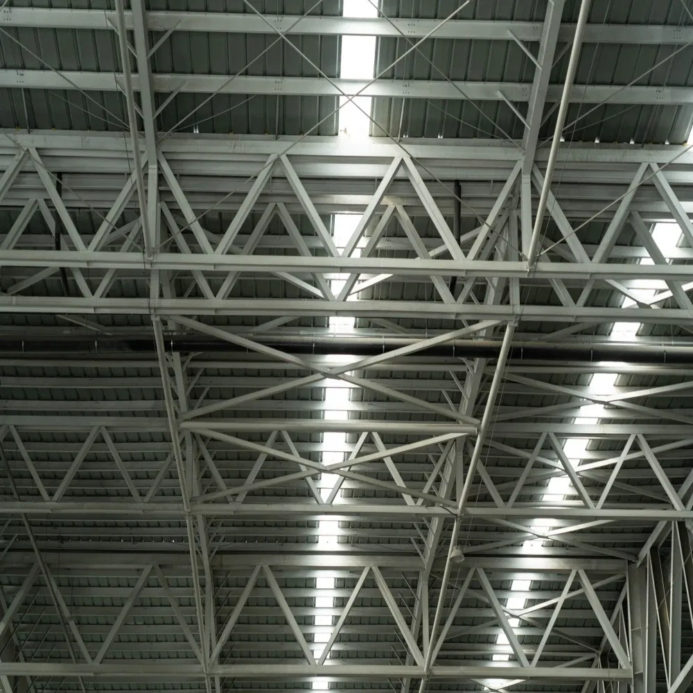 Portable House Solutions for Quick Installation and Eco-Friendly Living