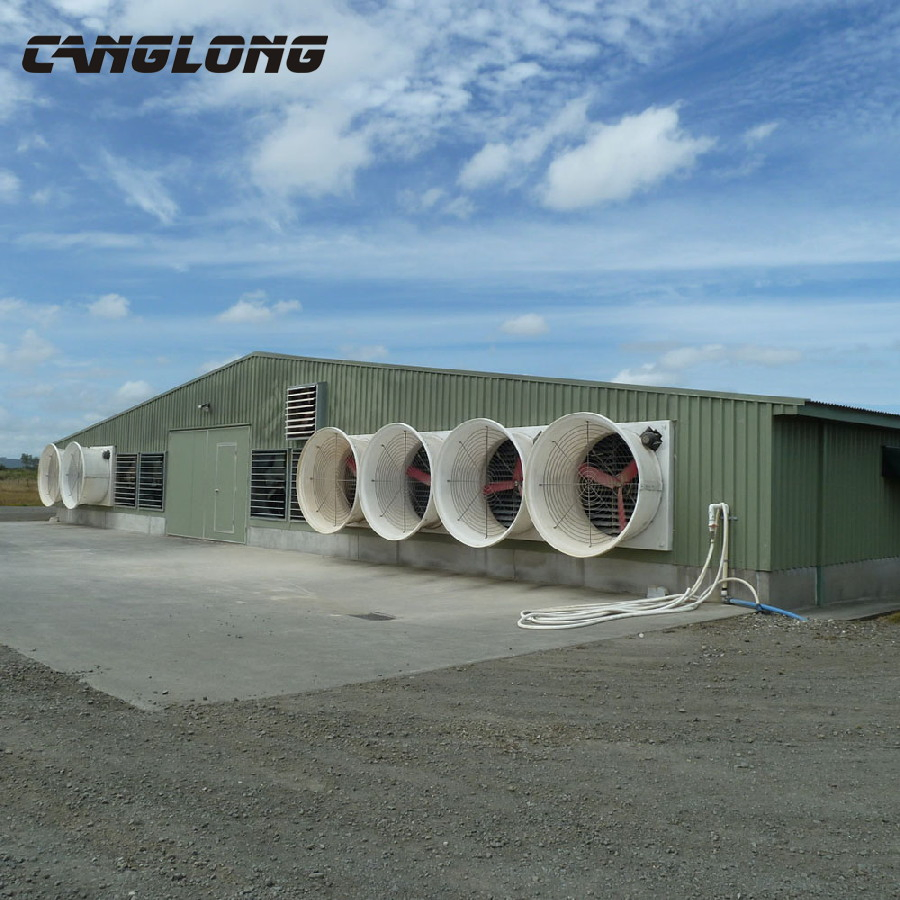 Prefabricated Steel Structure Metal Chicken Layer Poultry Farm House with Equipment