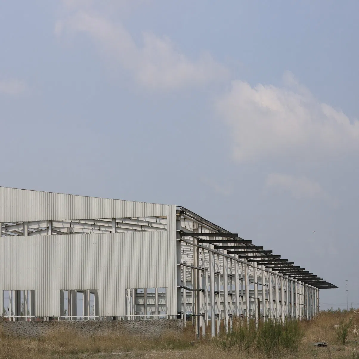 Professional Steel Construction Manufacture Steel Structure Frame Shed Workshop Stadium Building