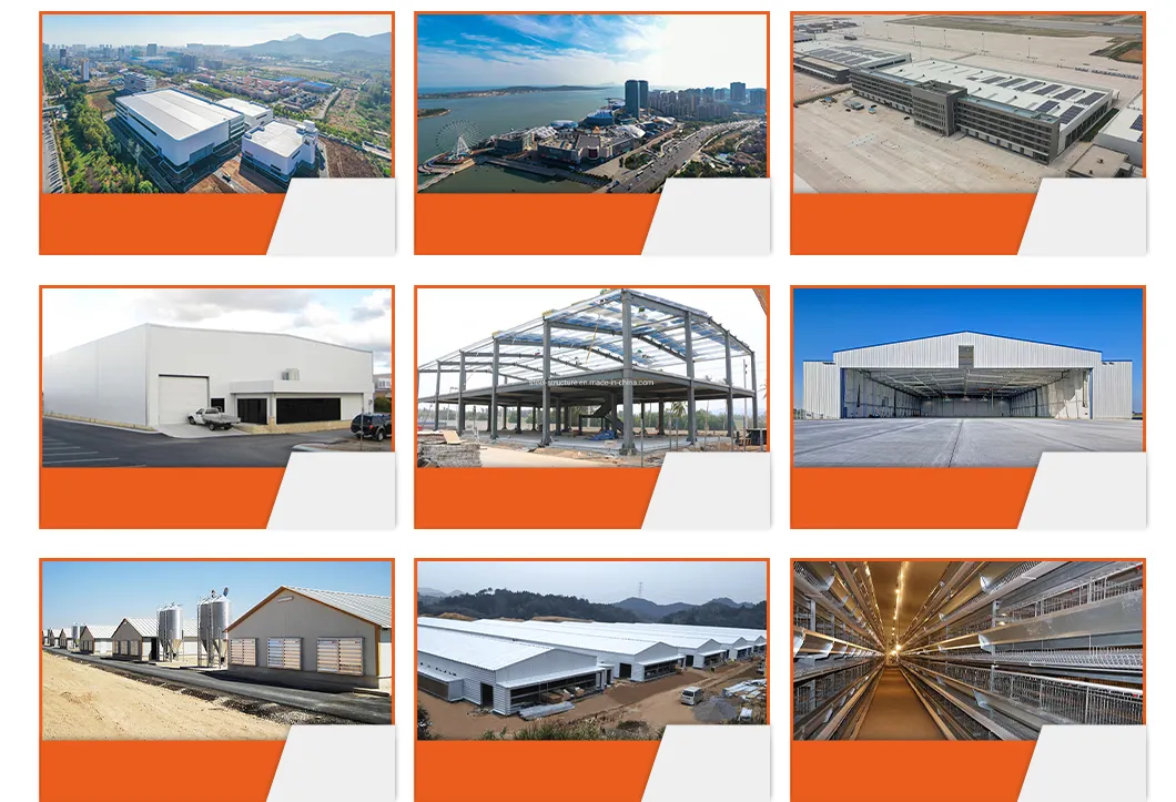 Main Product Display