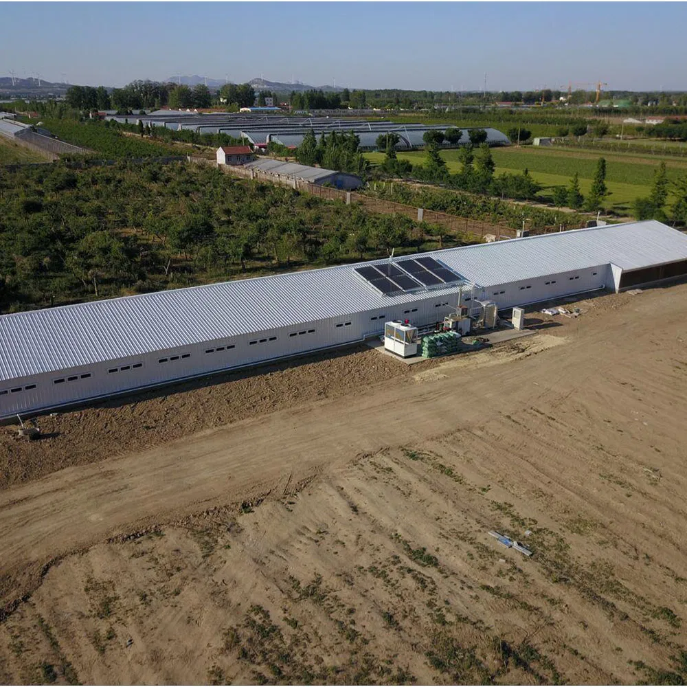 Prefabricated Steel Structure High-Quality Modular Chicken House Steel Frame Setup