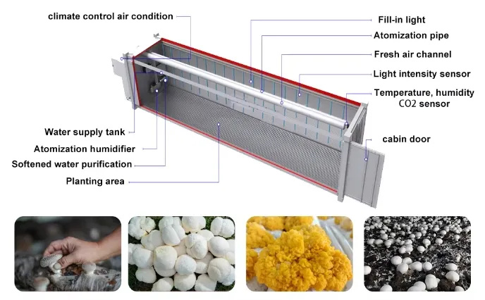 Mushroom Container Farm