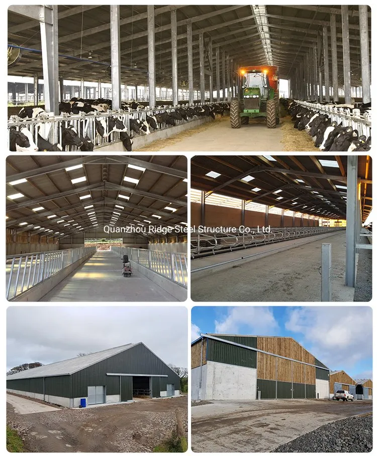 Detailed Steel Structure