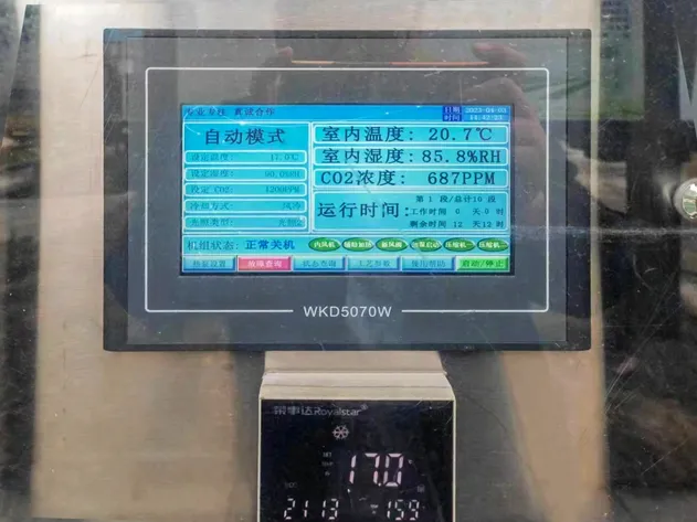 Mushroom Cultivation