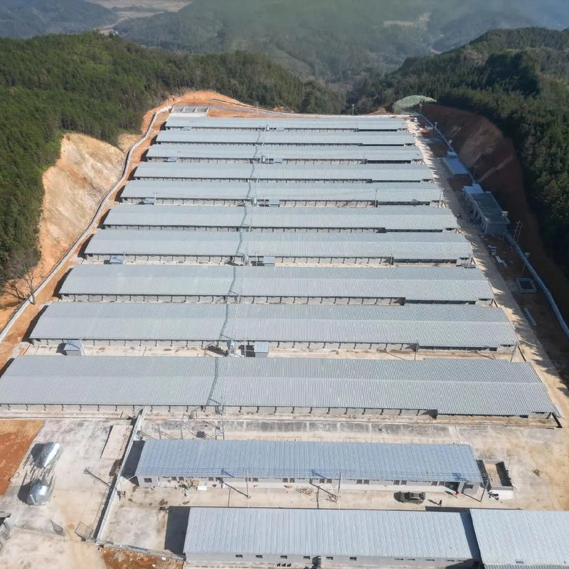 Modular Steel Structure Poultry Facility with Adjustable Space for Sustainable Goose Farm Prefabricated Chicken Farm Steel Structure Construction Design Farm