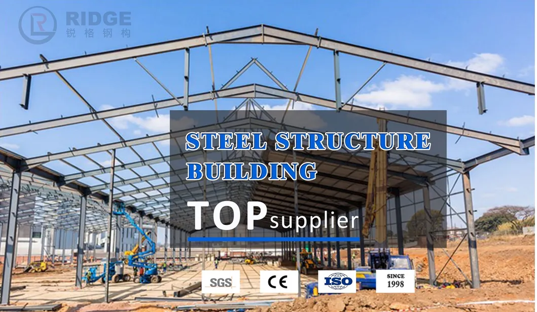 Steel Structure Warehouse