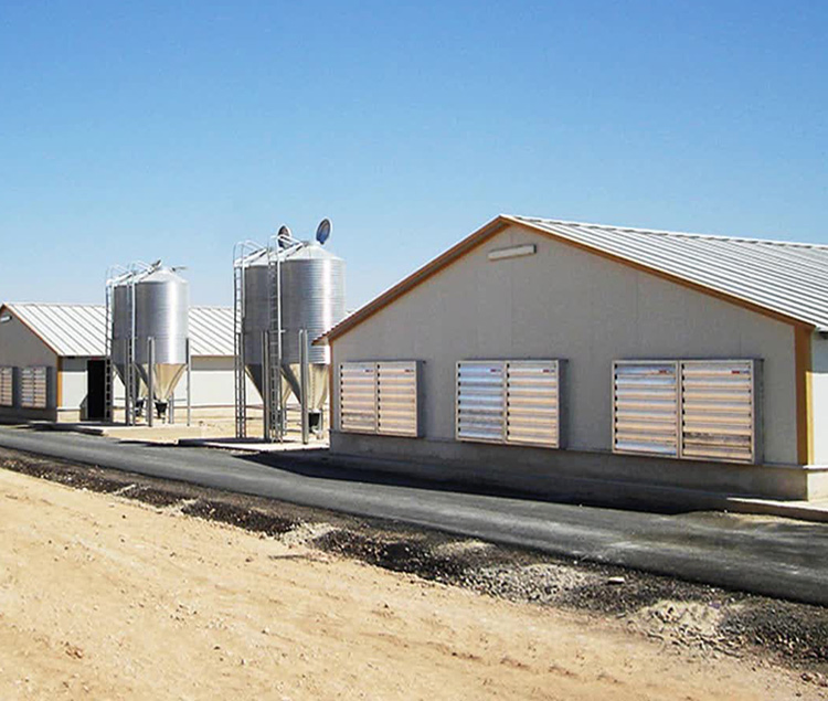 Automatic Prefabricated Steel Structure Poultry Farm Building Shed Broiler Commercial Chicken Houses