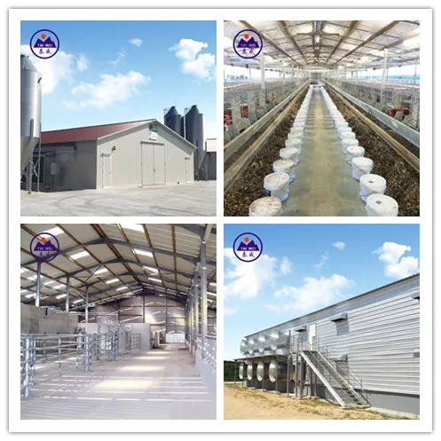 Steel Structure Container House