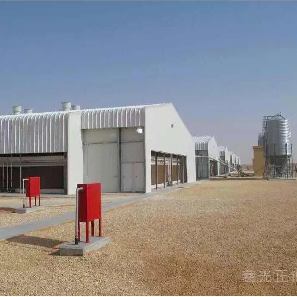 Prefabricated Steel Structure High-Quality Modular Chicken House Steel Frame Setup