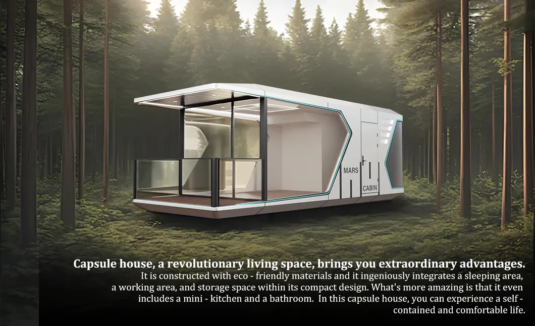 Capsule House Overview