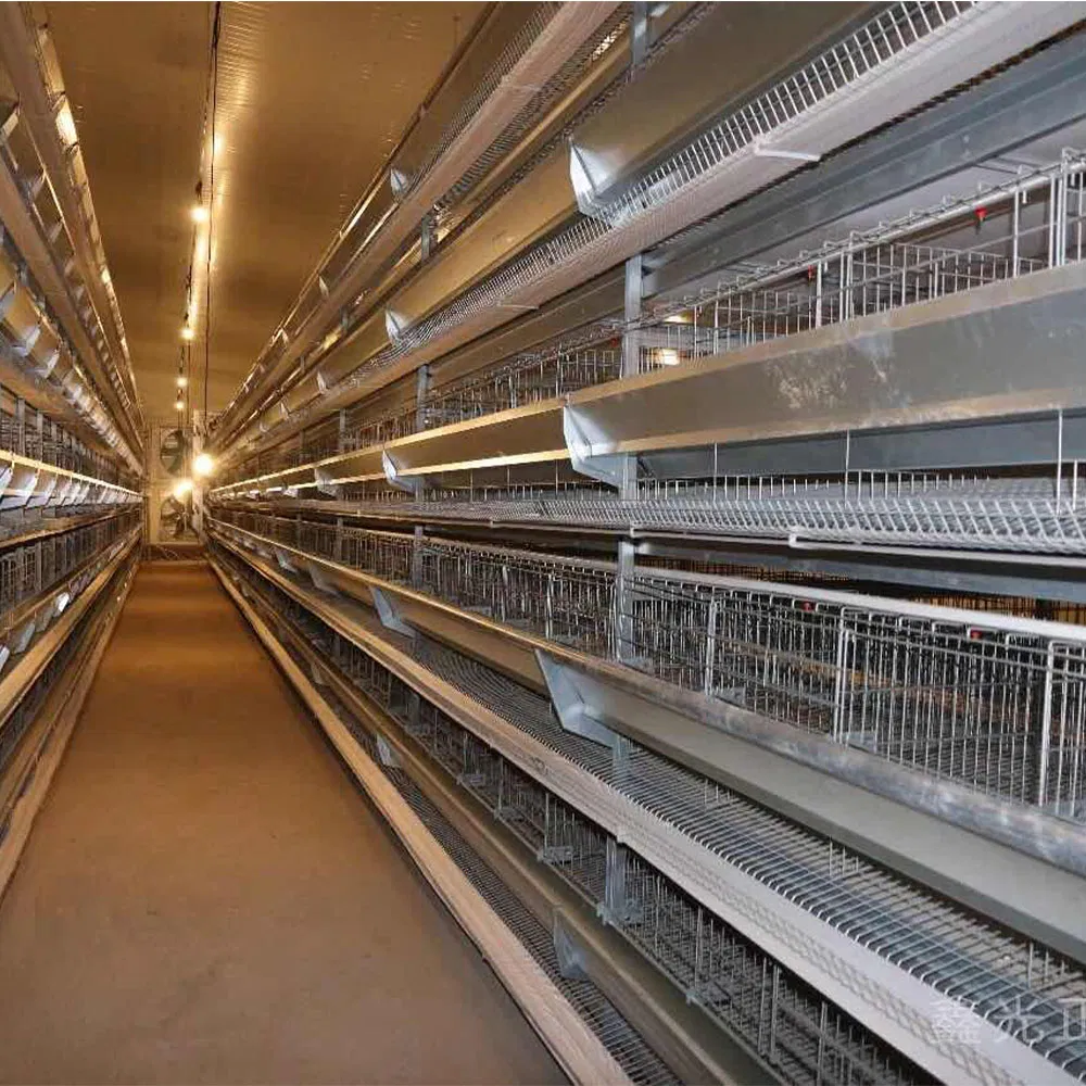 Prefabricated Steel Structure High-Quality Modular Chicken House Steel Frame Setup