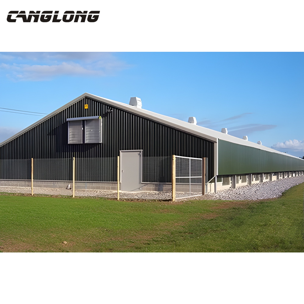 Prefabricated Steel Structure Metal Chicken Layer Poultry Farm House with Equipment