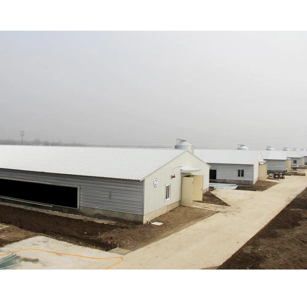 Quality Assurance Construction Steel Fabricated Steel Structural Factory and Farm Buildings