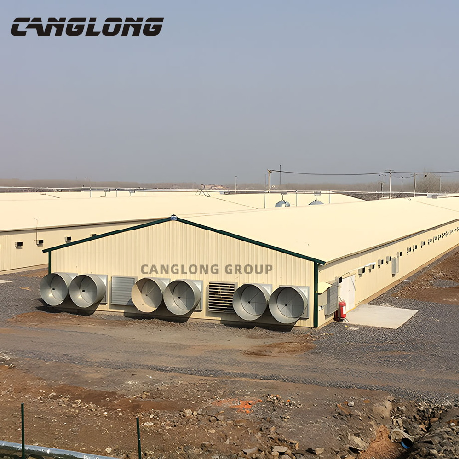 Prefabricated Steel Structure Metal Chicken Layer Poultry Farm House with Equipment