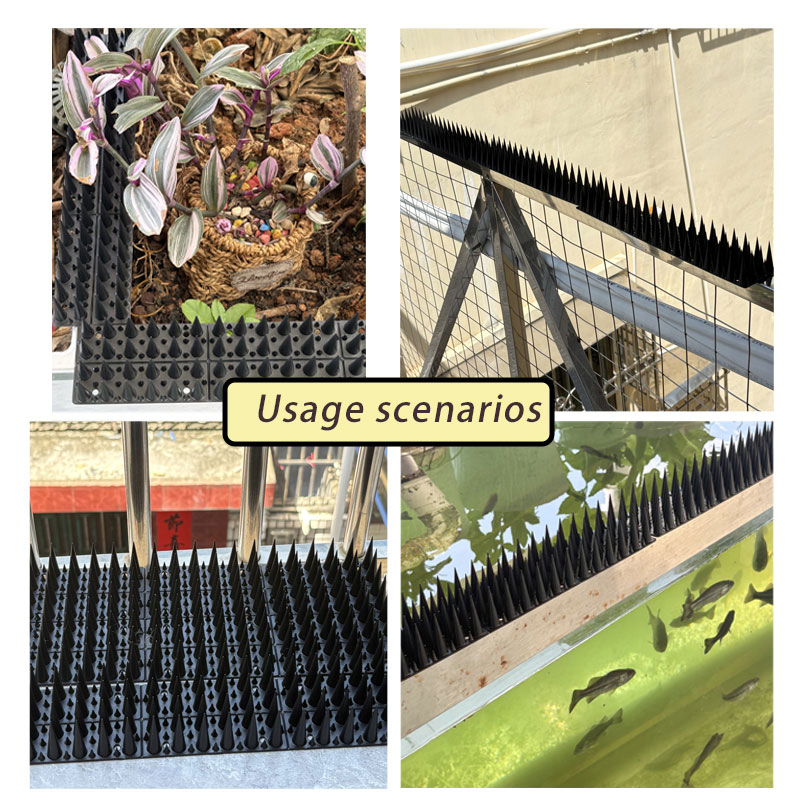 Advanced Spike Solution for Pigeon Control in Outdoor Spaces
