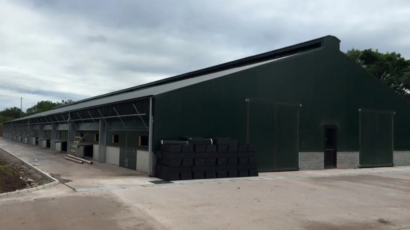 Quality Assurance Construction Steel Fabricated Steel Structural Factory and Farm Buildings