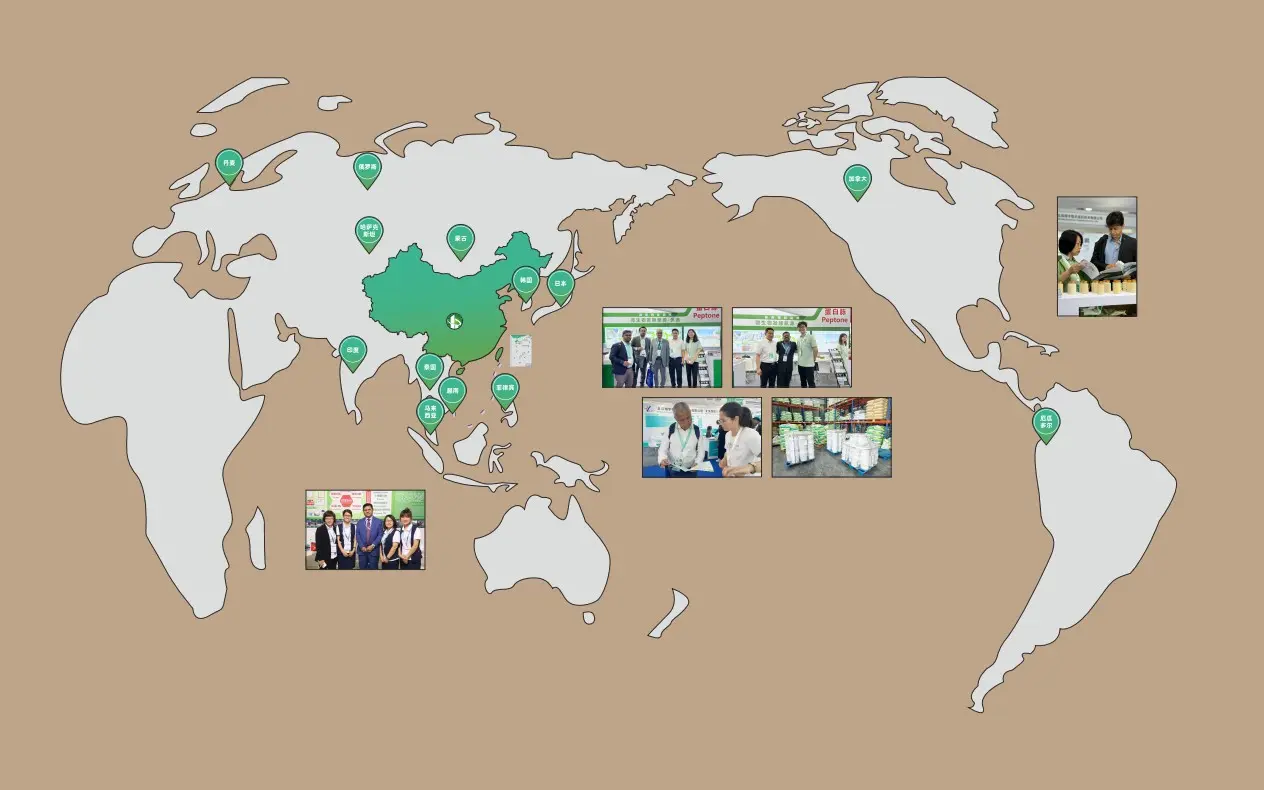 Global Vision and Local Excellence Factory View
