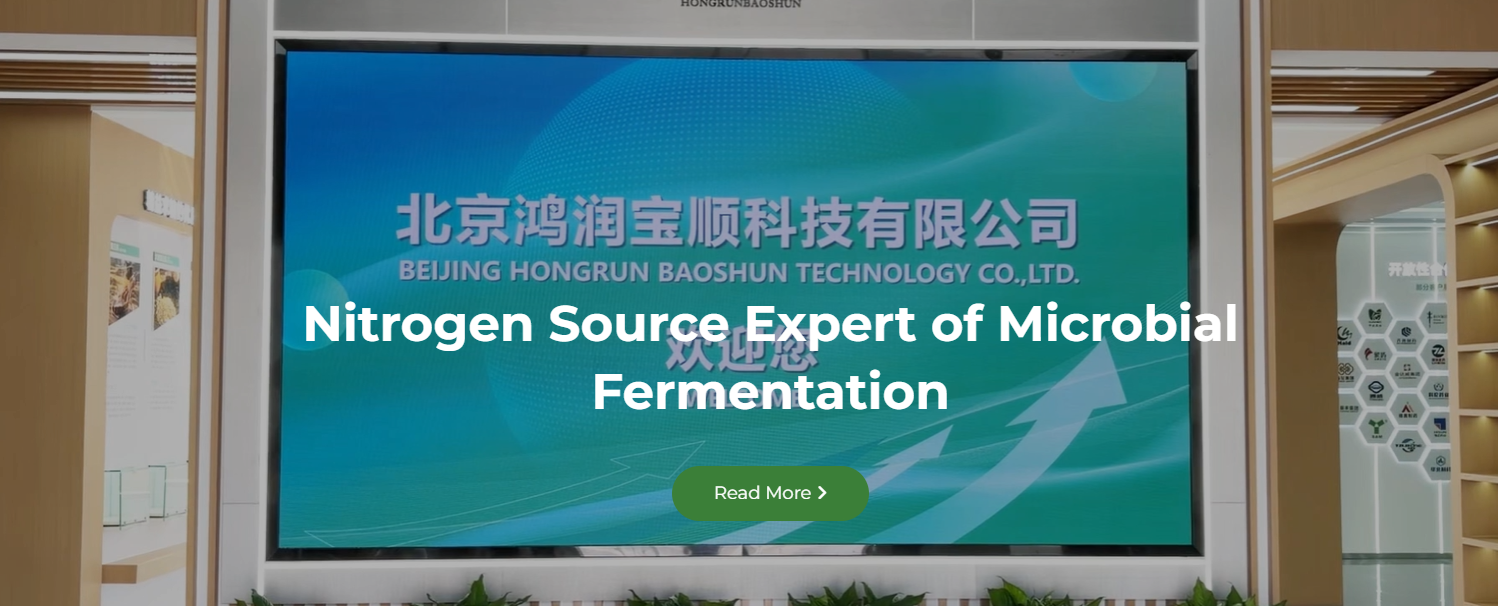 Hongrun Baoshun High-Tech Enterprise - Fermentation Raw Materials Manufacturing