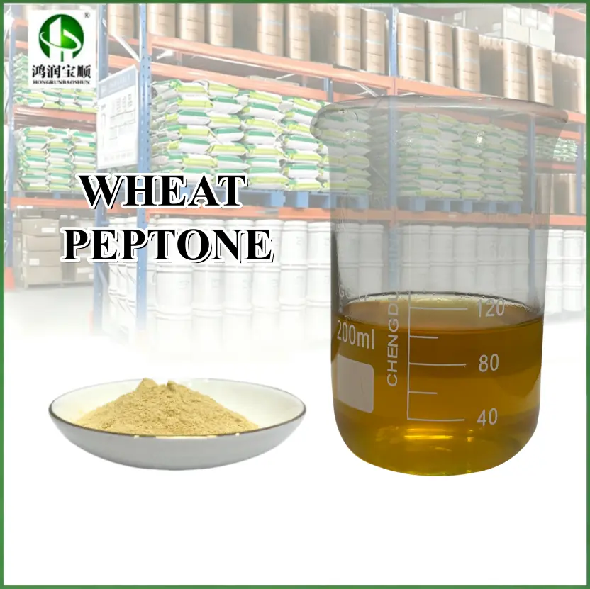 China Wheat Peptone Made from Non-GMO Raw Materials Supplier, Suppliers