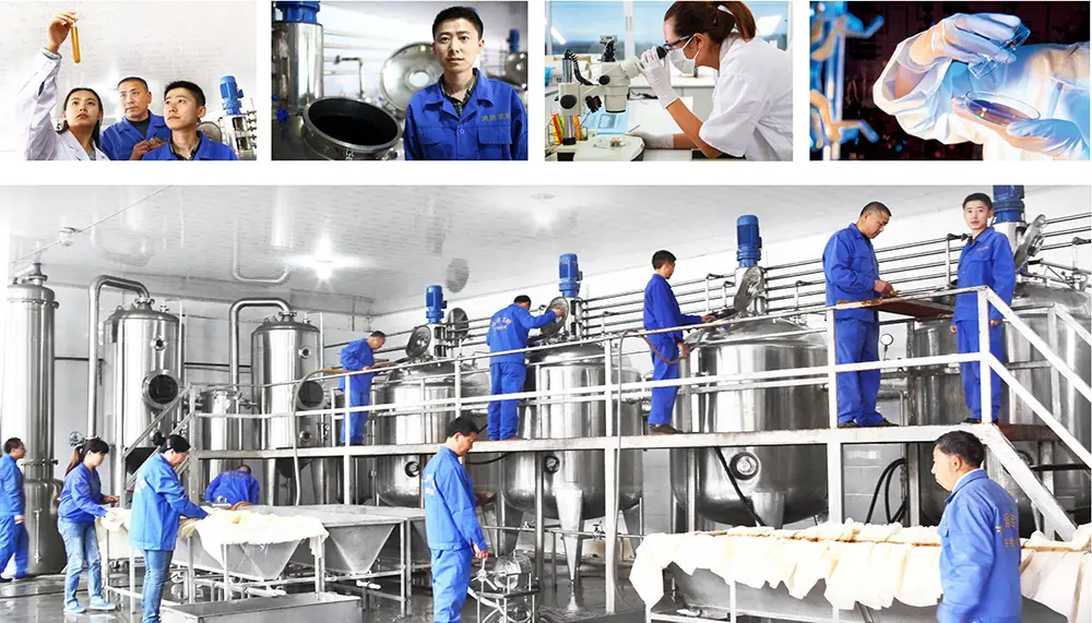 Beijing Hongrun Baoshun Research & Production Facilities