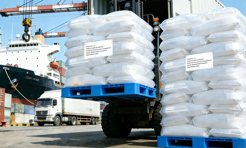 Efficient Logistics & Timely Delivery