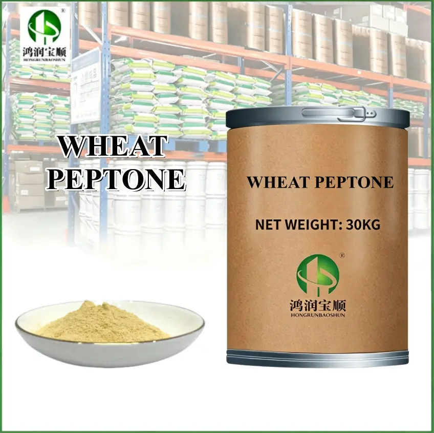 China Wheat Peptone Made from Non-GMO Raw Materials Supplier, Suppliers