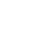 Year established icon