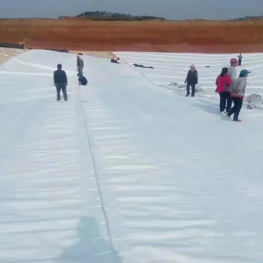 Watercourse Seepage Works