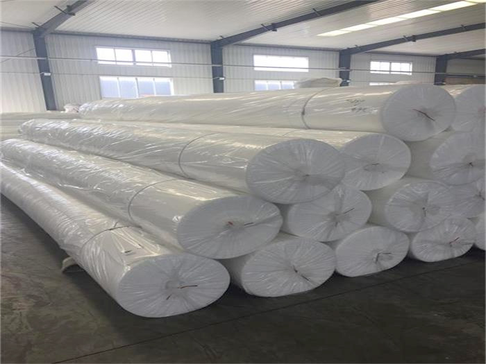 Roll Packing Line