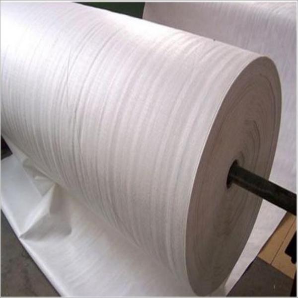 Best Polyester geotextile Manufacturers, Quotes