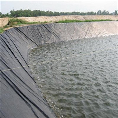 Famous Fish pond anti-seepage membrane Suppliers, Quotes