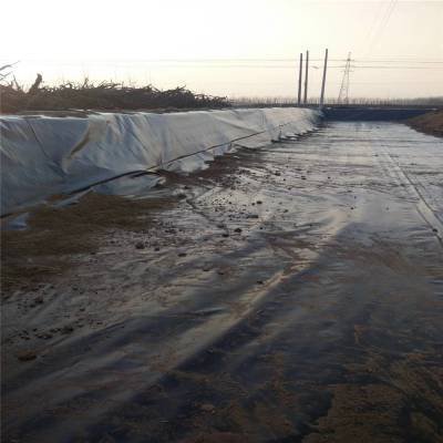 Famous Fish pond anti-seepage membrane Suppliers, Quotes