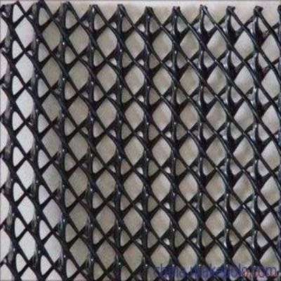 OEM High - density polyethylene geonet Manufacturer, Factories