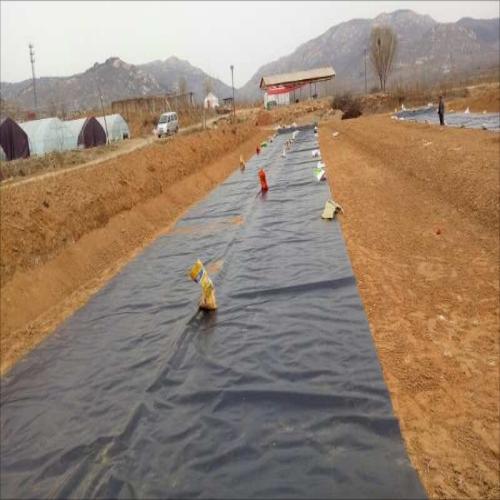 Custom Reservoir dam geomembrane Manufacturers, Supplier