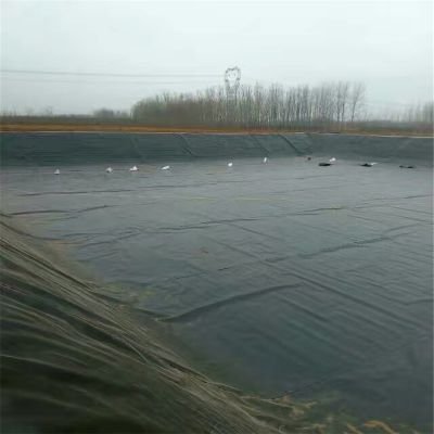 Famous Fish pond anti-seepage membrane Suppliers, Quotes
