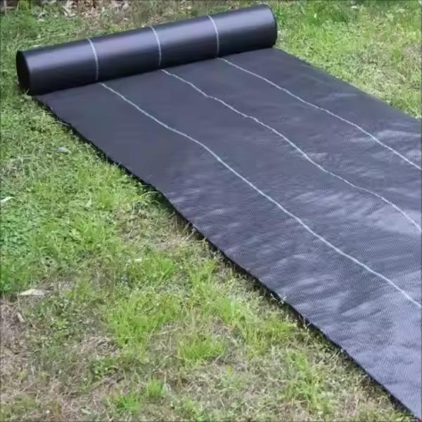 Best Woven grass-proof cloth Exporter, Exporters