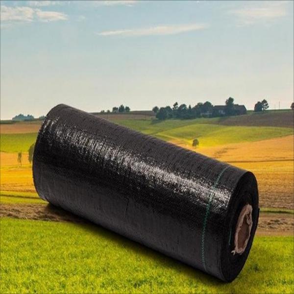 High-Quality Hongyue polyethylene (PE) grass-proof cloth Manufacturer, Quotes