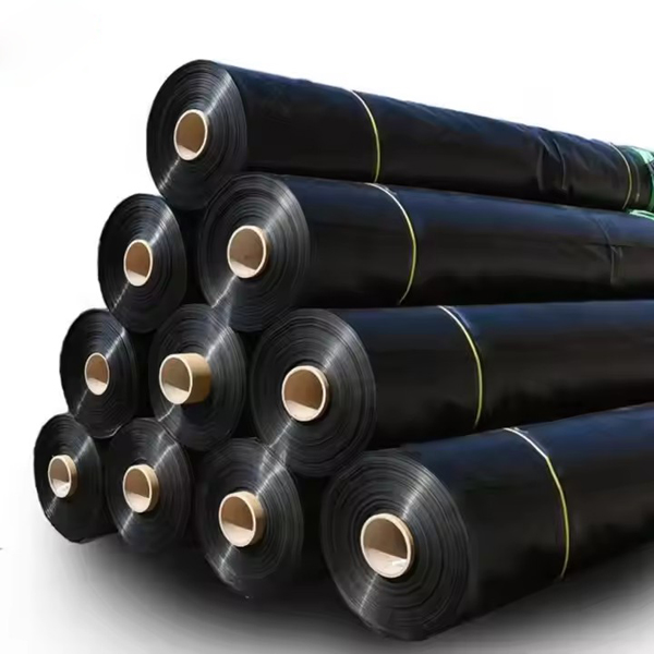 CE Certification High-density polyethylene (HDPE) geomembranes for landfills Suppliers, Exporters