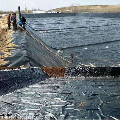 Famous Fish pond anti-seepage membrane Suppliers, Quotes