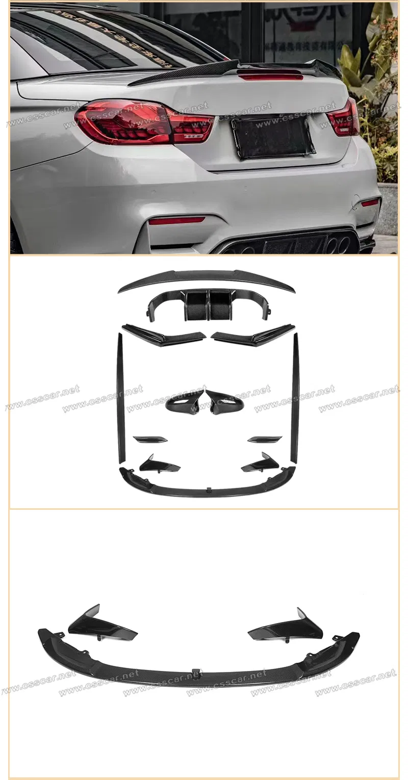 Detailed Body Kit View