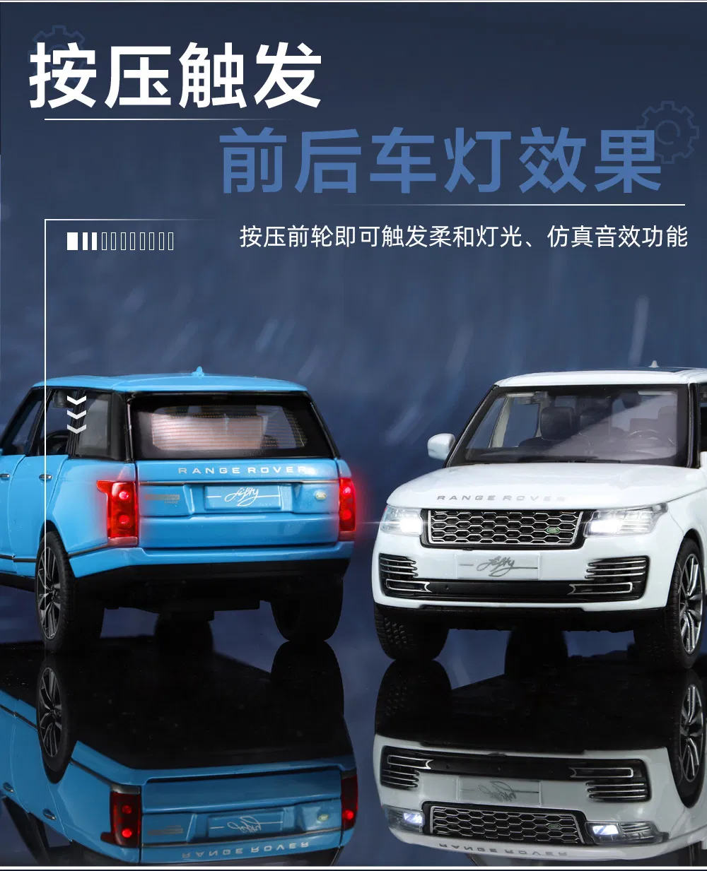 Range Rover Detail 6