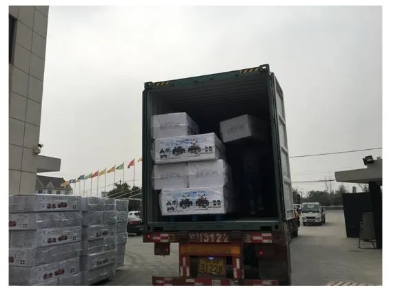 Ride on Toy Packaging Process