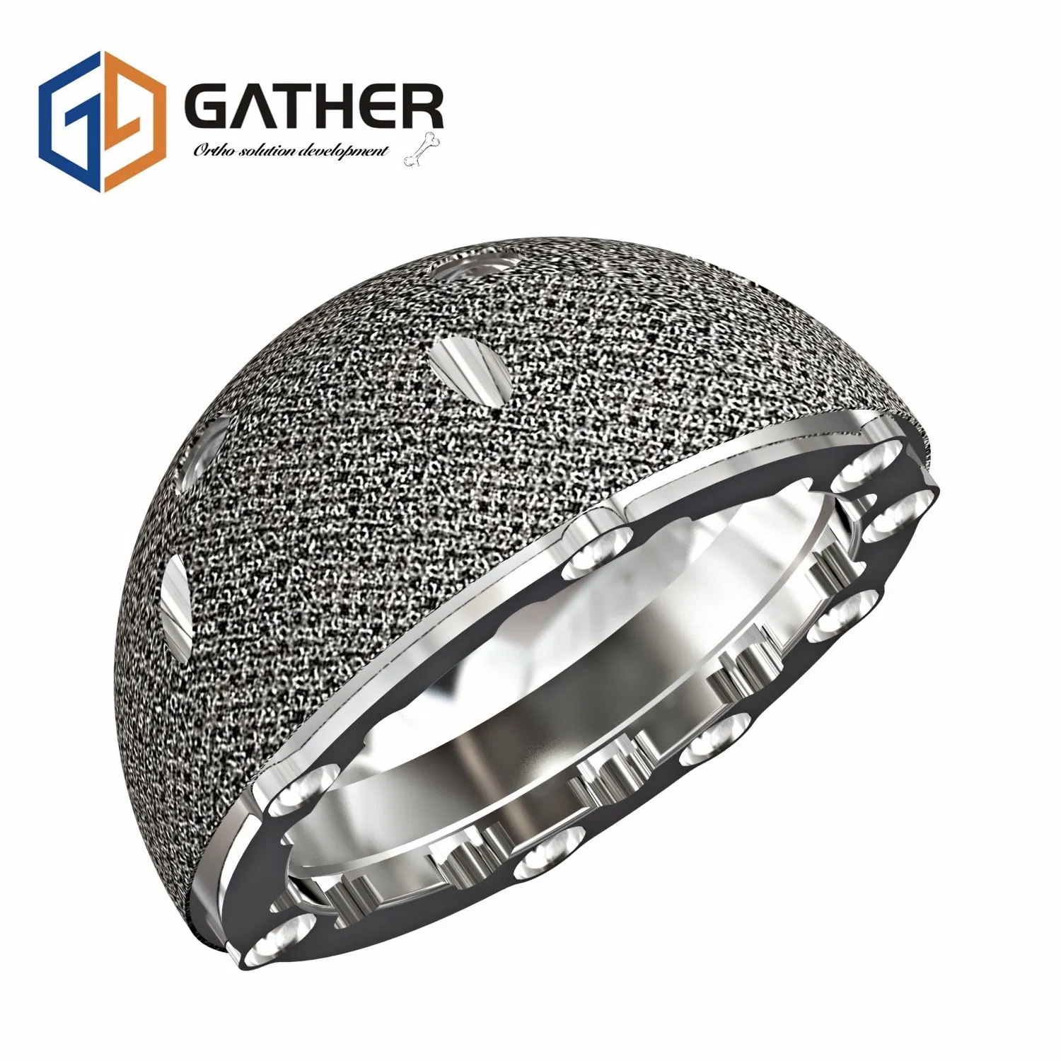 Orthopedic Replacement Sterilized Package Prosthesis Knee Joint