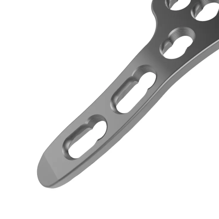 Hook Locking Plate View