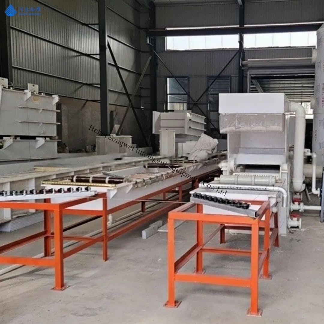 Heavy-Duty Electroplating Production Line: Custom Gantry Systems for Zinc/Nickel Plating