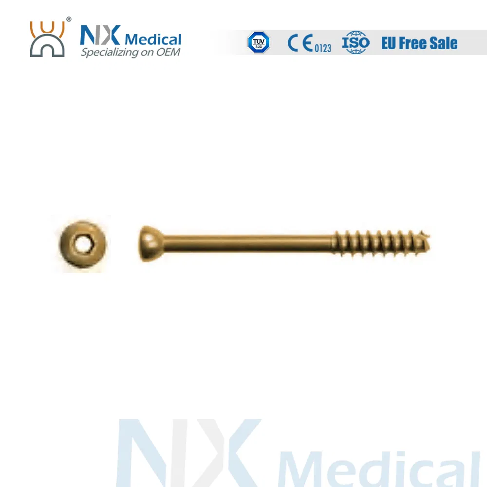 Nx Medical Orthopedic Titanium Implant Cannulated Screw for Bone Fixation