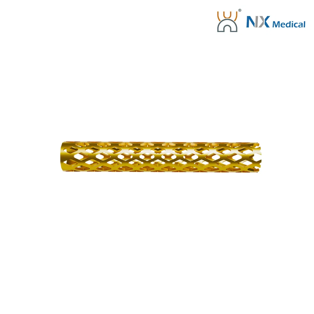 Nx Medical OEM Support Tlif Cage Peek Titanium for Lumbar Interbody Fusion