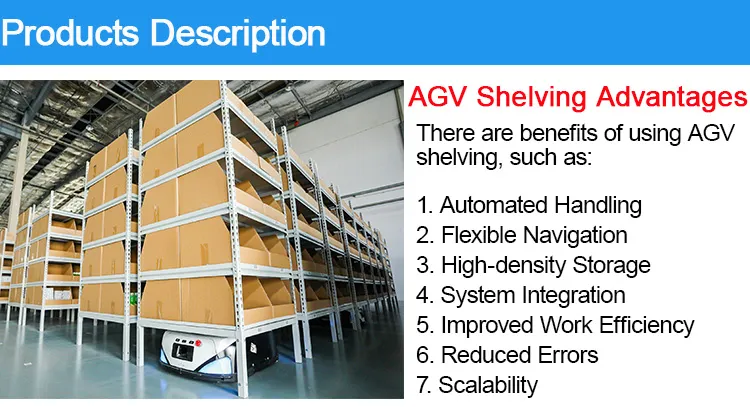 AGV Shelves Detail 2