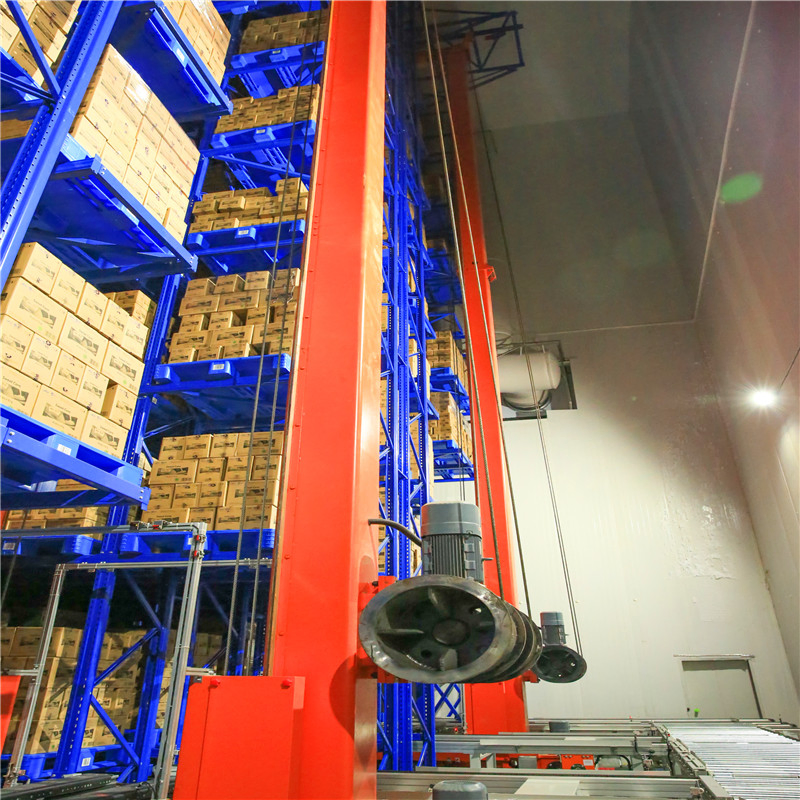 Tailored Cold Warehouse Solutions by Dl for Diverse Industries in China