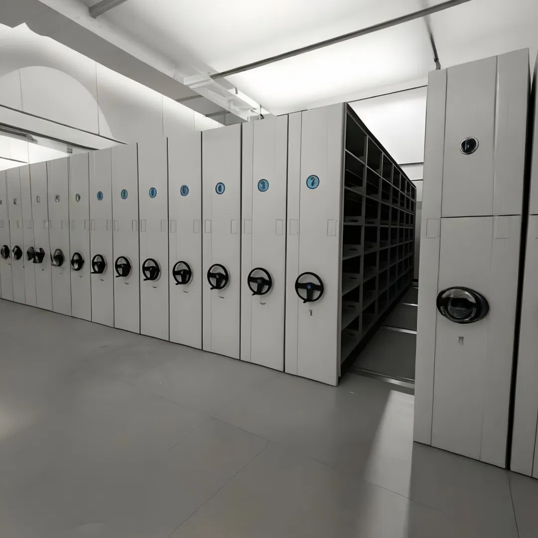 Mobile Intensive Shelf Factory Storage Files Office Movable Storage Rack Library Mobile Filing Rack Government - Agency - Use Mobile Storage Systems